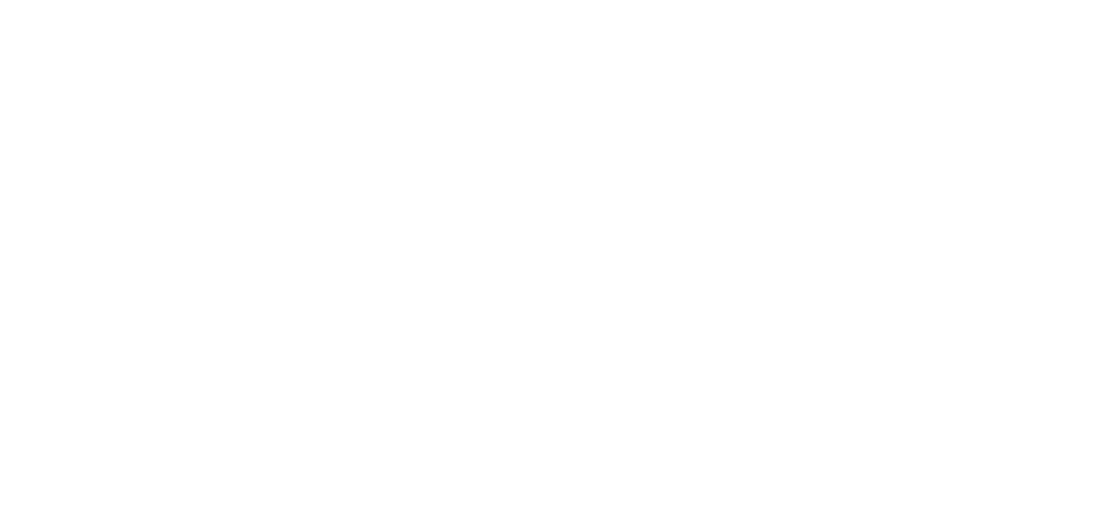 Bạch Đằng TMC